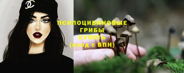 jwh Алзамай