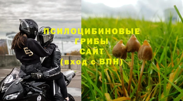 jwh Алзамай