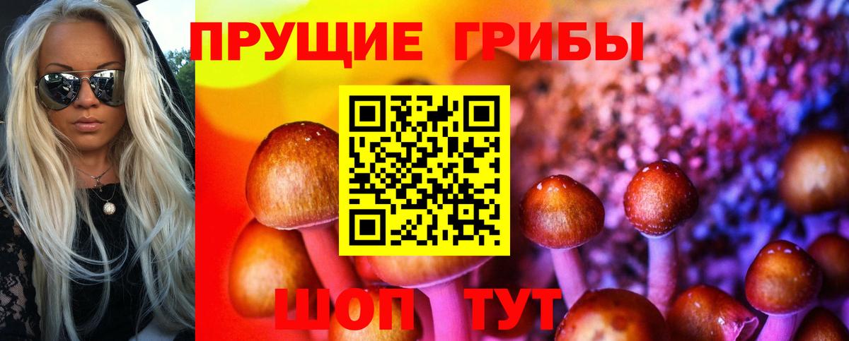 Галлюциногенные грибы прущие грибы  Вход с VPN  Рубцовск 