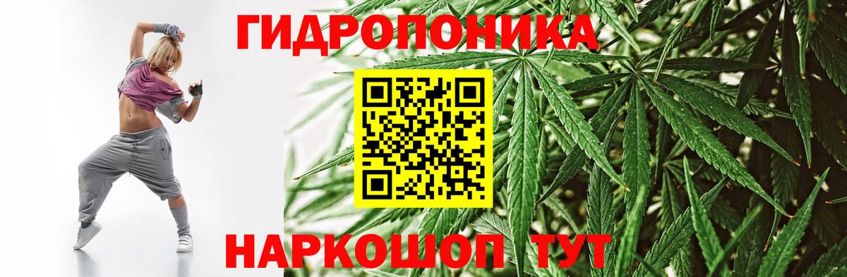 Каннабис Amnesia Рубцовск
